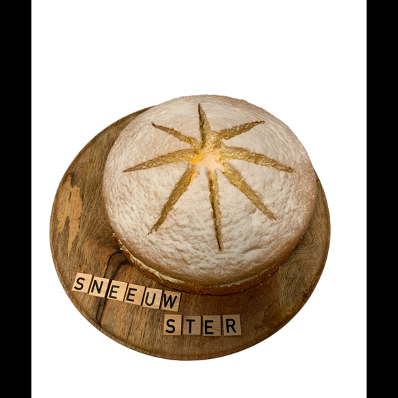 Sneeuwster