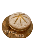 Sneeuwster